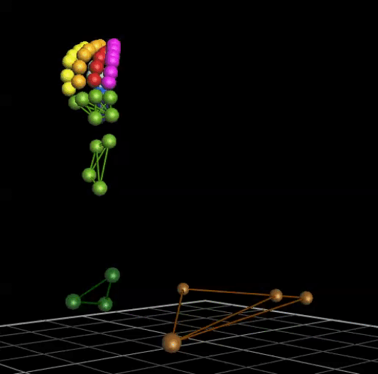 Motion Analysis Lab